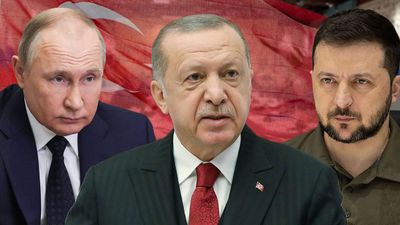 Деблокада портов и украинское зерно: интервью с экспертом об игре Эрдогана и позиции США